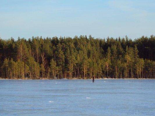 post-1502-0-64795300-1426835799_thumb.jp