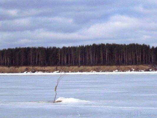 post-1502-0-68074800-1426263177_thumb.jp