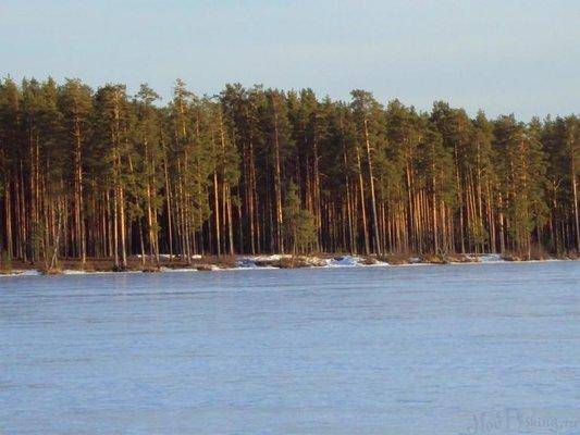 post-1502-0-71726300-1426835832_thumb.jp