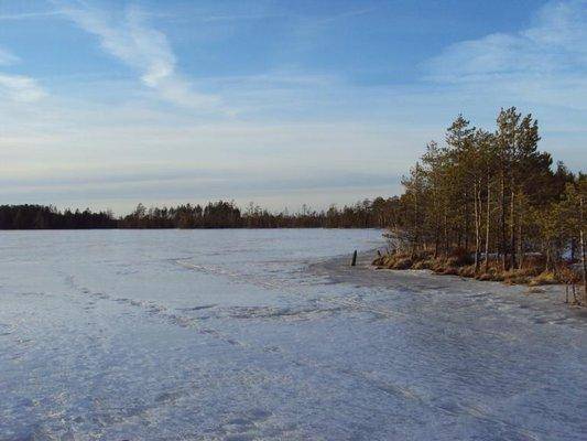 post-1502-0-77214100-1426835772_thumb.jp