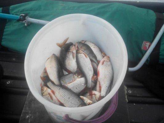 post-2147-0-27407000-1426173834_thumb.jp