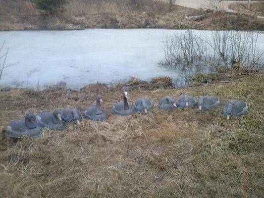 post-2424-0-16536600-1427557467_thumb.jp