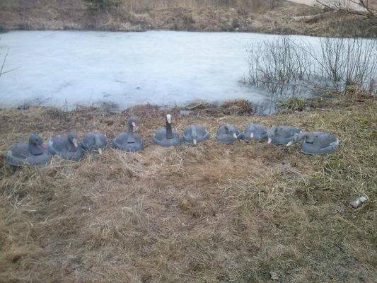 post-2424-0-92436200-1427557483_thumb.jp