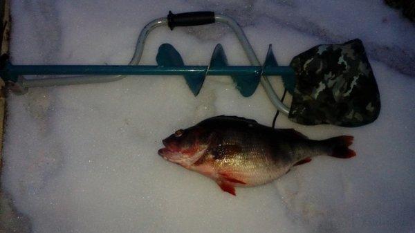 post-411-0-70982800-1427657770_thumb.jpe