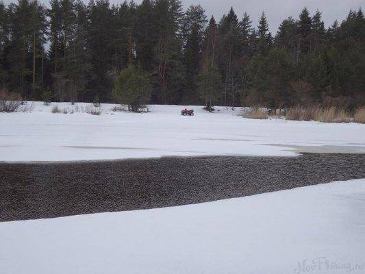 post-1407-0-17747000-1427963540_thumb.jp