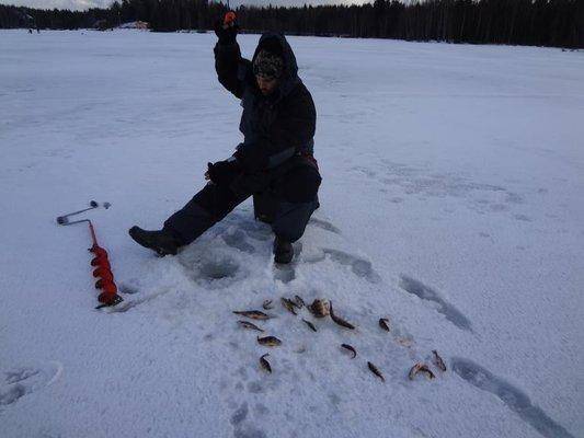 post-1407-0-25281200-1428228340_thumb.jp