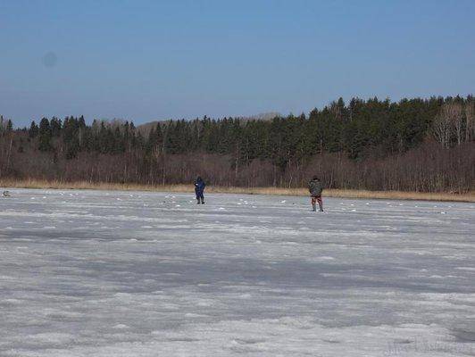 post-1407-0-31223800-1428868392_thumb.jp