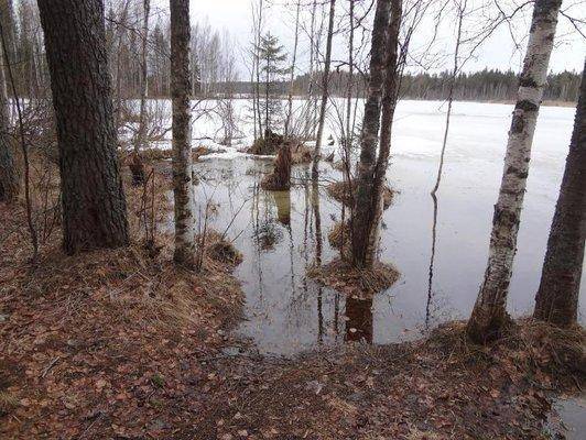 post-1407-0-37758700-1428679440_thumb.jp