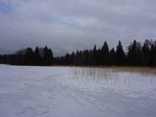 post-1407-0-41074600-1428049433_thumb.jp