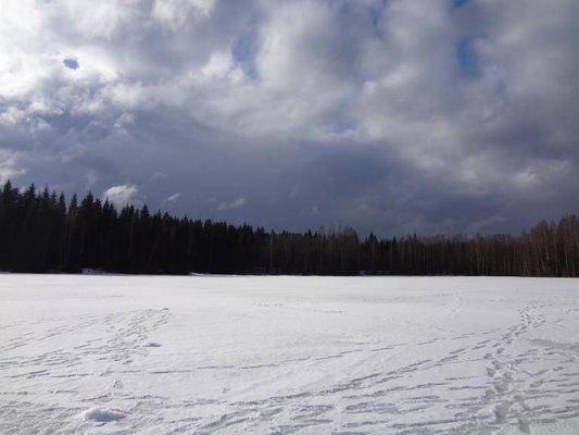 post-1407-0-41110700-1428228434_thumb.jp