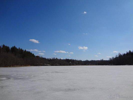 post-1407-0-49659300-1428868362_thumb.jp