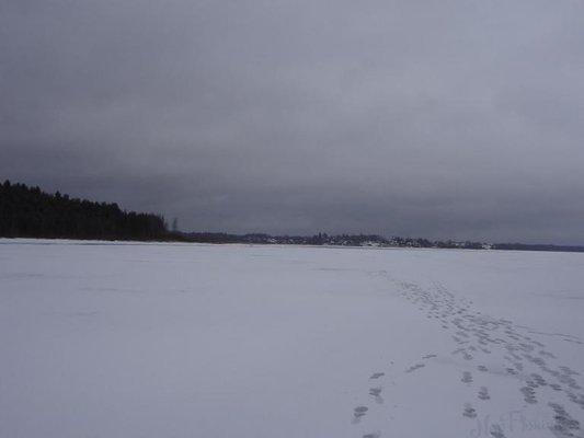 post-1407-0-53269600-1427963616_thumb.jp