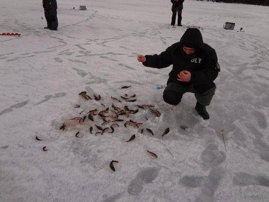 post-1407-0-62072300-1428228312_thumb.jp