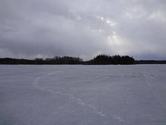 post-1407-0-79517400-1428679348_thumb.jp