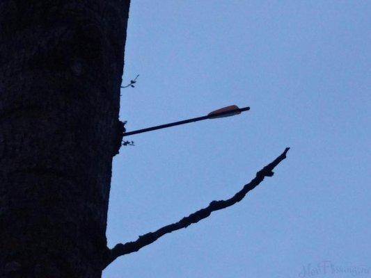 post-1407-0-81499700-1428049427_thumb.jp