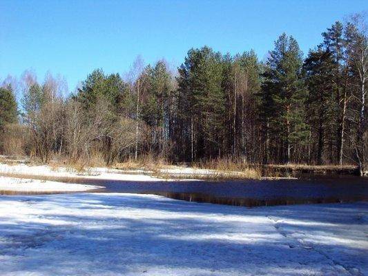 post-1502-0-17852500-1428762143_thumb.jp