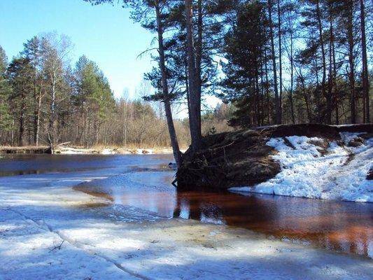 post-1502-0-55346800-1428762196_thumb.jp