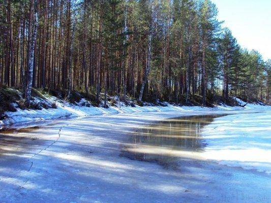 post-1502-0-85875700-1428762170_thumb.jp