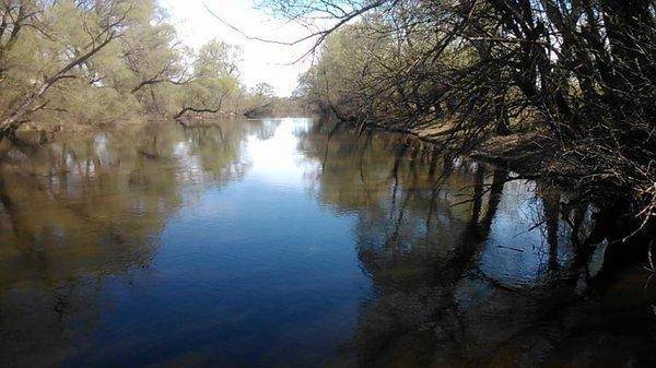 post-1039-0-00414400-1430832608_thumb.jp