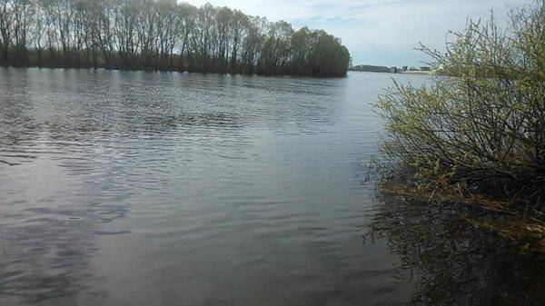 post-1039-0-31569600-1430832754_thumb.jp