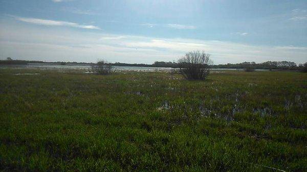 post-1039-0-34267600-1430832694_thumb.jp