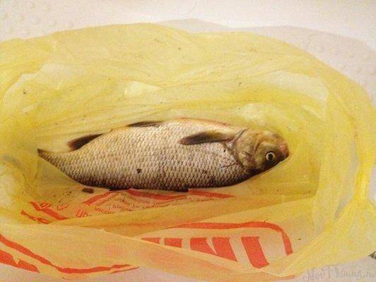 post-1299-0-12392700-1432584704_thumb.jp