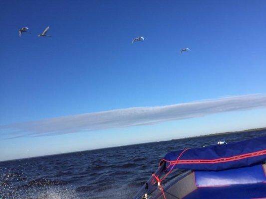 post-1327-0-07411300-1431894988_thumb.jp