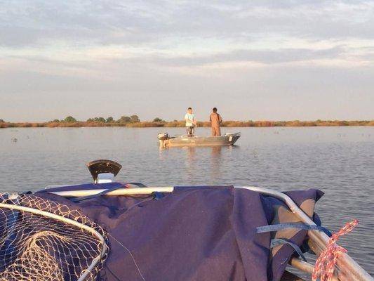 post-1327-0-12642900-1432938331_thumb.jp