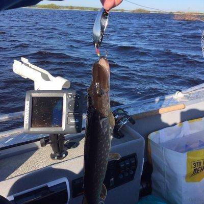 post-1327-0-15392900-1431895398_thumb.jp