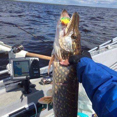 post-1327-0-30424900-1431896623_thumb.jp