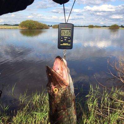 post-1327-0-31941000-1431895781_thumb.jp