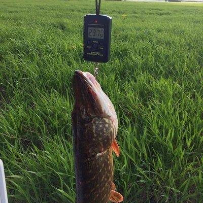 post-1327-0-38153100-1431895768_thumb.jp