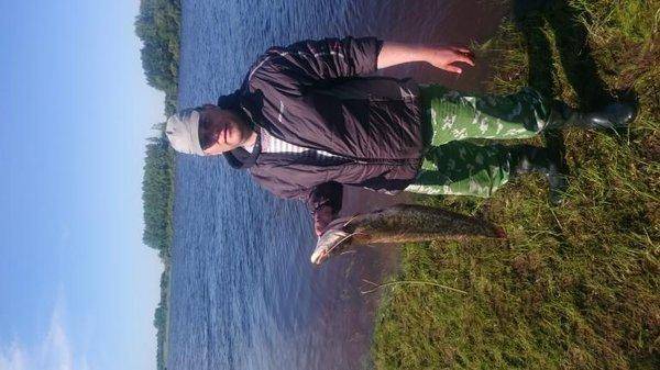 post-2229-0-92411200-1433080063_thumb.jp