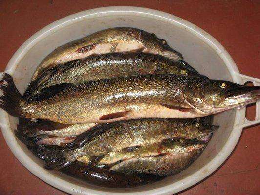 post-2414-0-56037900-1432929799_thumb.jp