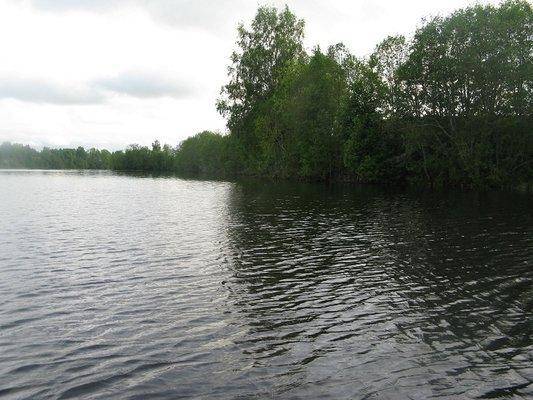 post-2414-0-62954400-1432844549_thumb.jp