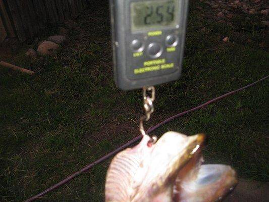 post-2414-0-77725000-1432845045_thumb.jp