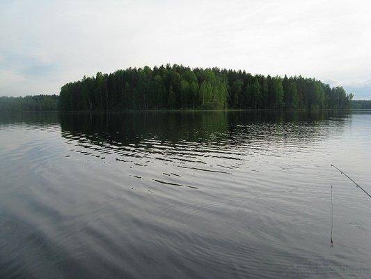 post-2414-0-98335500-1432929306_thumb.jp