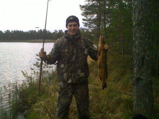 post-2467-0-00041200-1432216826_thumb.jp