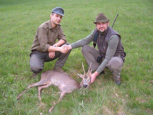 post-2498-0-52399500-1431083317_thumb.jp