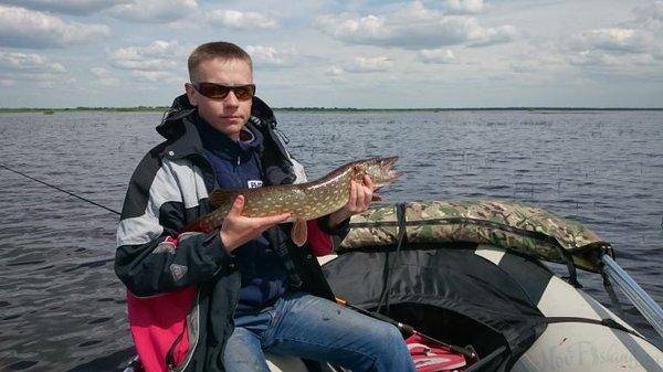 post-2551-0-67982100-1433097655_thumb.jp