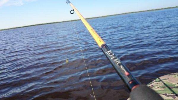 post-2551-0-99454100-1433097587_thumb.jp