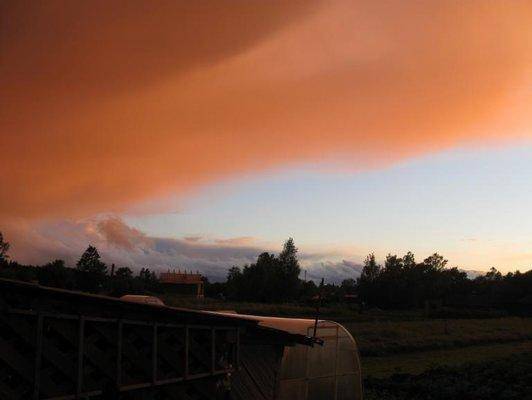 post-1002-0-36750200-1403102949_thumb.jp