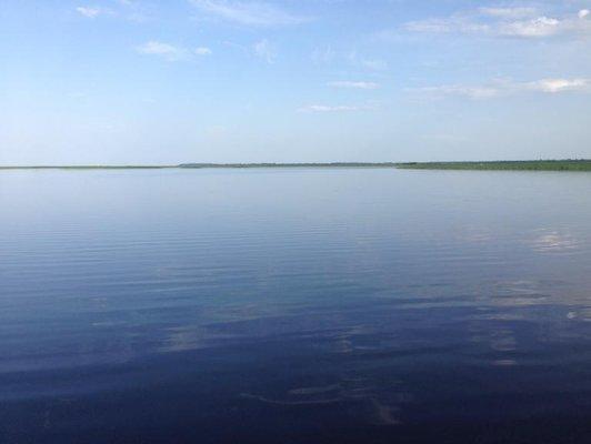 post-1149-0-26810300-1401907418_thumb.jp