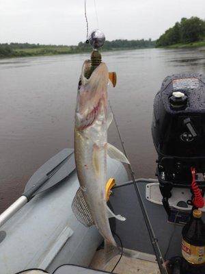 post-1149-0-43806600-1404121174_thumb.jp