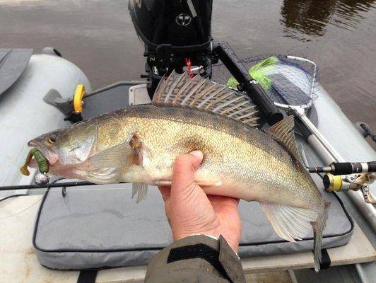 post-1149-0-45779400-1404121146_thumb.jp