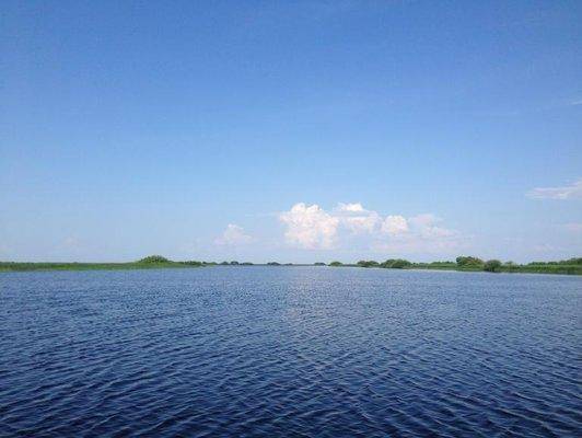 post-1149-0-56016600-1401907436_thumb.jp