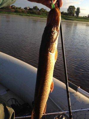 post-1149-0-78886700-1402501243_thumb.jp