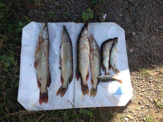 post-1149-0-80616100-1401603910_thumb.jp