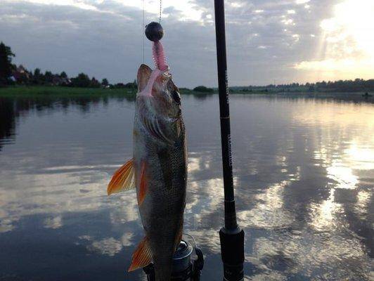 post-1149-0-91931400-1401777892_thumb.jp