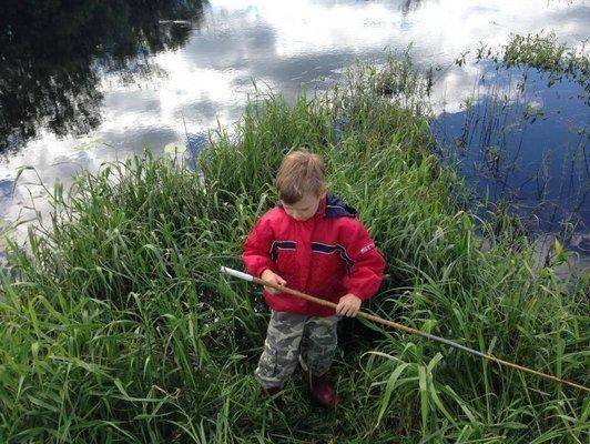 post-1149-0-99798100-1403459955_thumb.jp